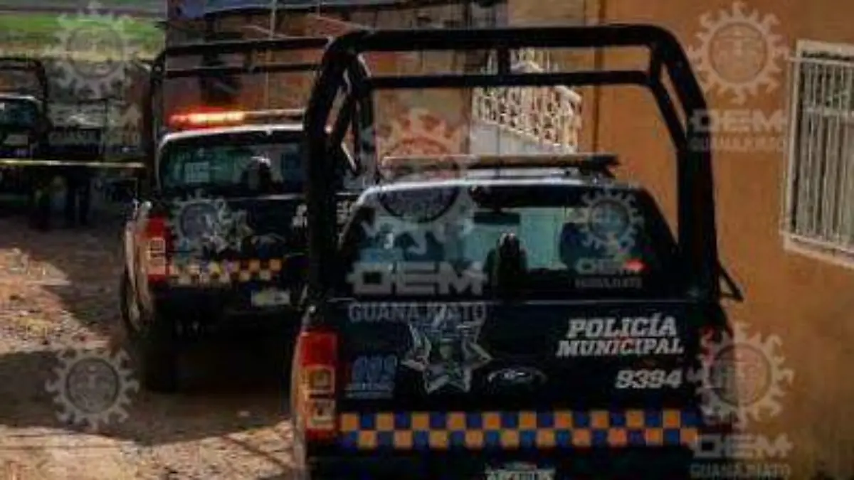 d539a45f-75f2-42da-9950-0da4cca416f5