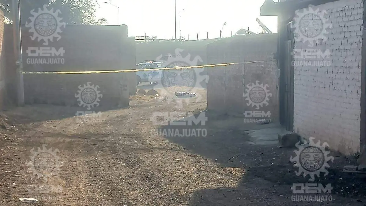 Dejan-restos-embolsados