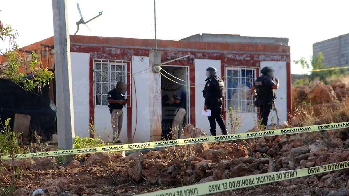 1783f89a-d44b-44b6-95cd-80333cc8a9d6