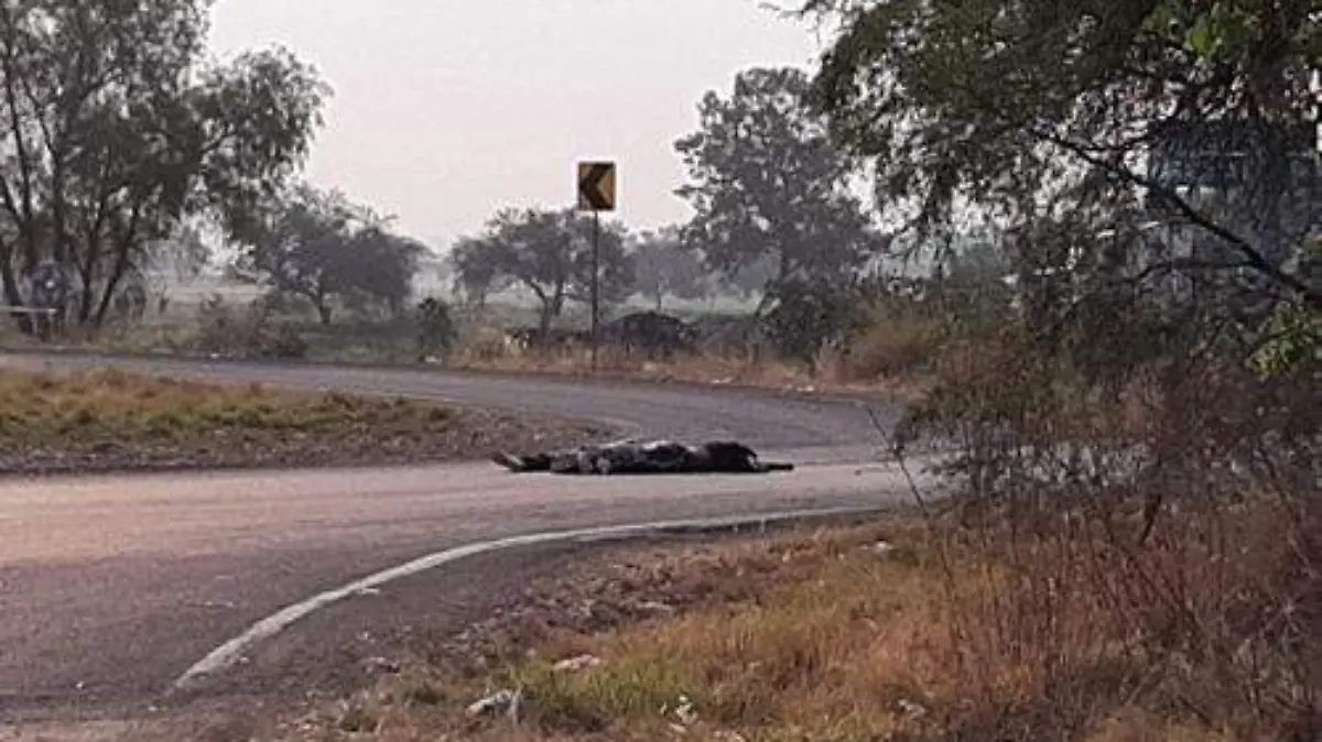 ad59a832-30bc-432b-81a0-30b12eadaa77