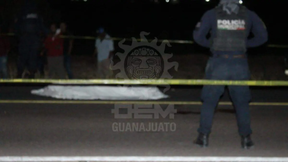 614b9962-47cc-44d5-b846-82a223871e51