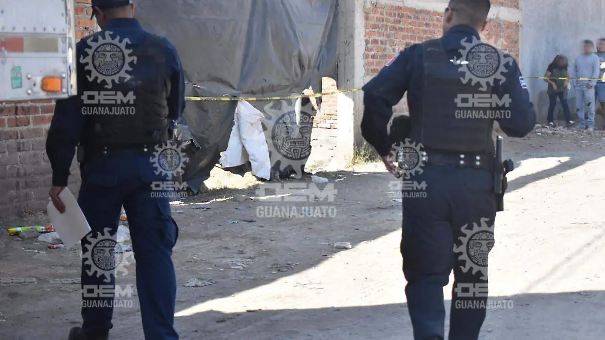 9eae2242-7893-4cf9-be95-04bd564ec1c1