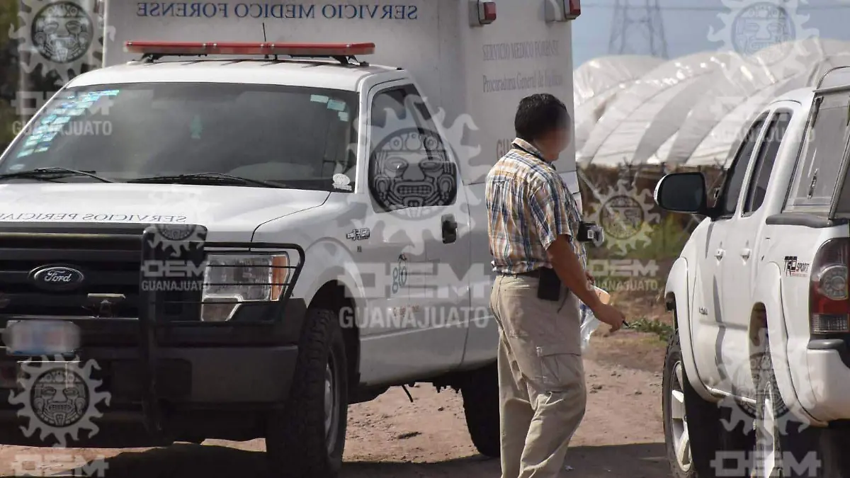 e7090032-0a2f-4cfa-8a50-e93d38f2ecbd (1)