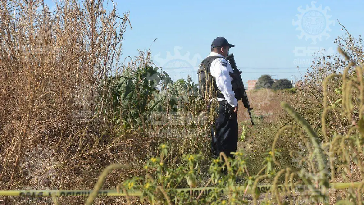 3867f5a0-e8fe-4ca1-8e8e-fa9ac08be6aa