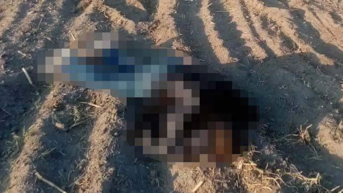 36b52805-a744-45e9-980f-2d2741c17498