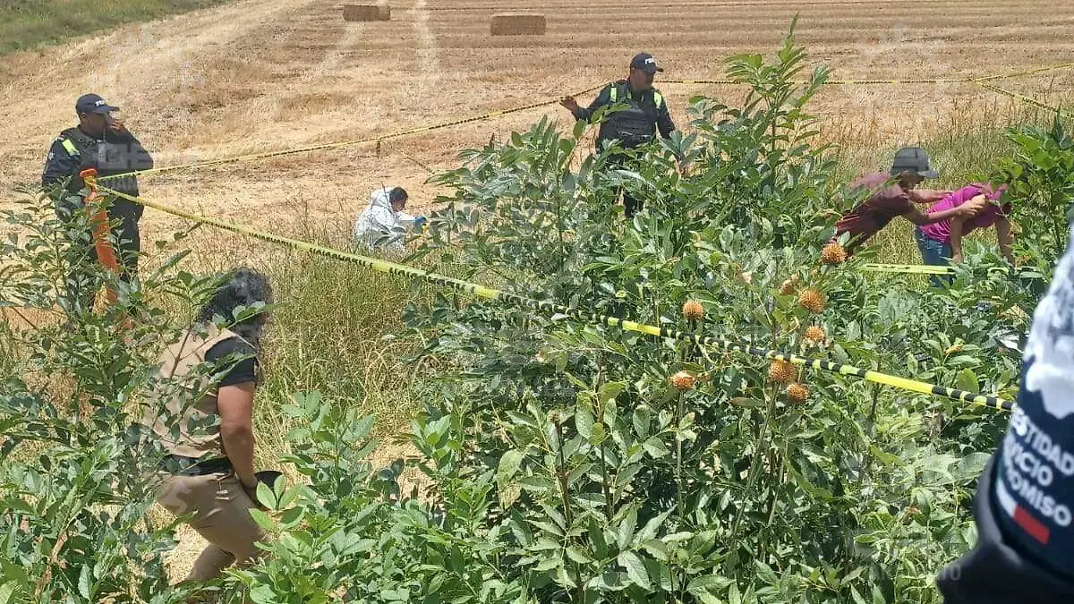 f595b2a5-3831-4ce5-826a-960a8af8f222 (1)