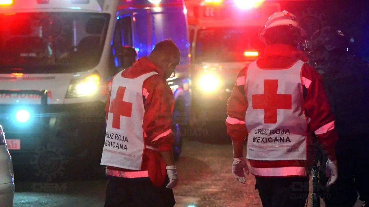 d2e20a58-dc51-4492-b669-28298b55a2b9 (1)