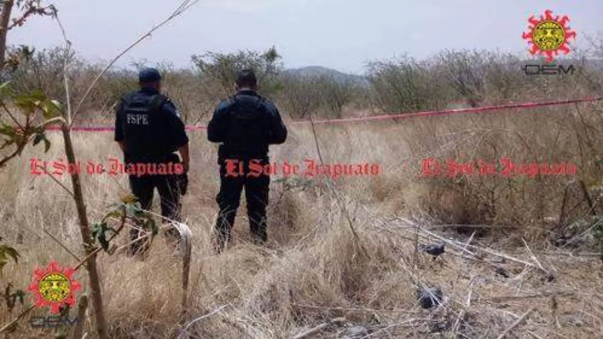 7638b436-cb35-4ef6-82ca-d5b3f8ff7886