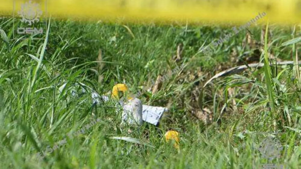 EJECUTADO DEL NIDO  OK