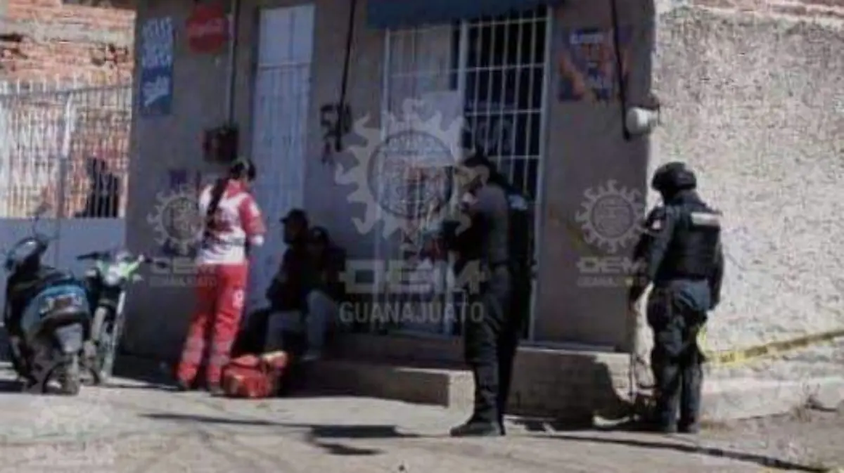 8bcfc0a2-7784-4202-a592-9e39bd453874