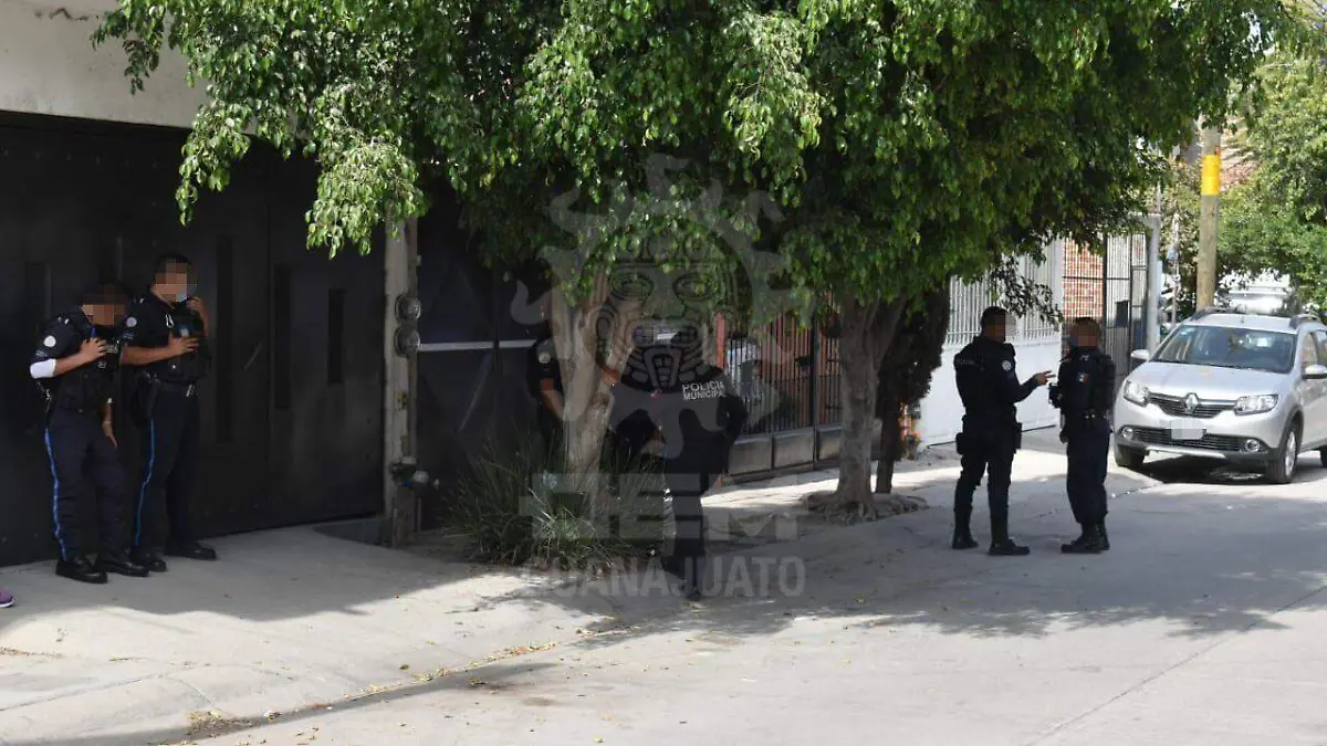 WhatsApp Image 2021-01-08 at 2.30.01 PM (2)