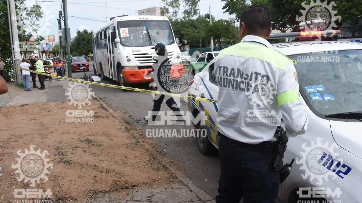 8d636597-6366-45fb-8c6d-9fbe4066843a