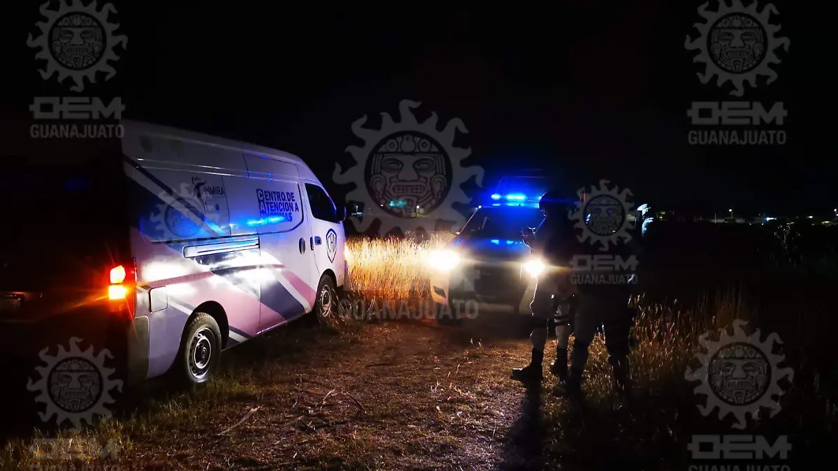 64ccda88-a7f0-46ae-abc8-46c518e6a1c7