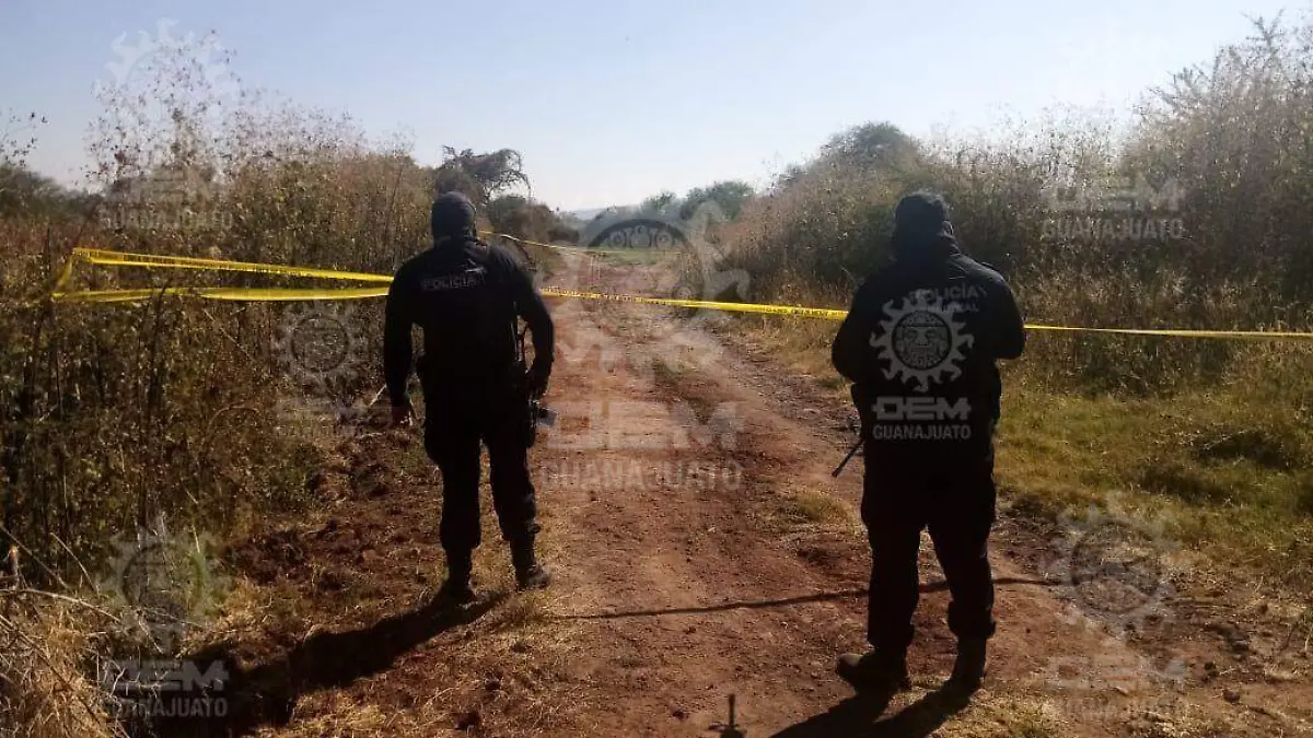 859358ce-9dea-441e-97da-b00a635cba0f