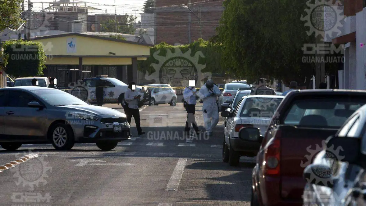 c0d44156-6ebc-44f7-87c2-a7a4fca8971c