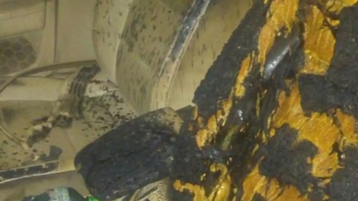 WhatsApp Image 2017-06-20 at 12.06