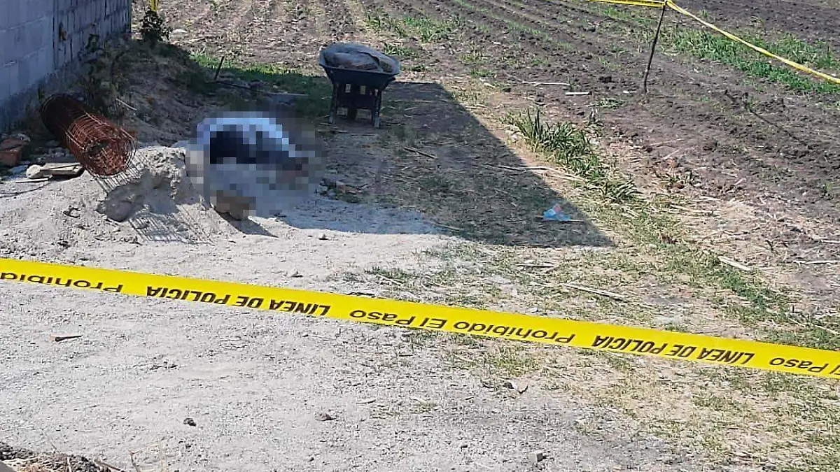 2032f7ee-9084-40e6-bd4f-bcac9306f451