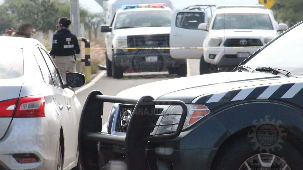 49f6d105-f94a-40a0-aa34-45a35f6120e5