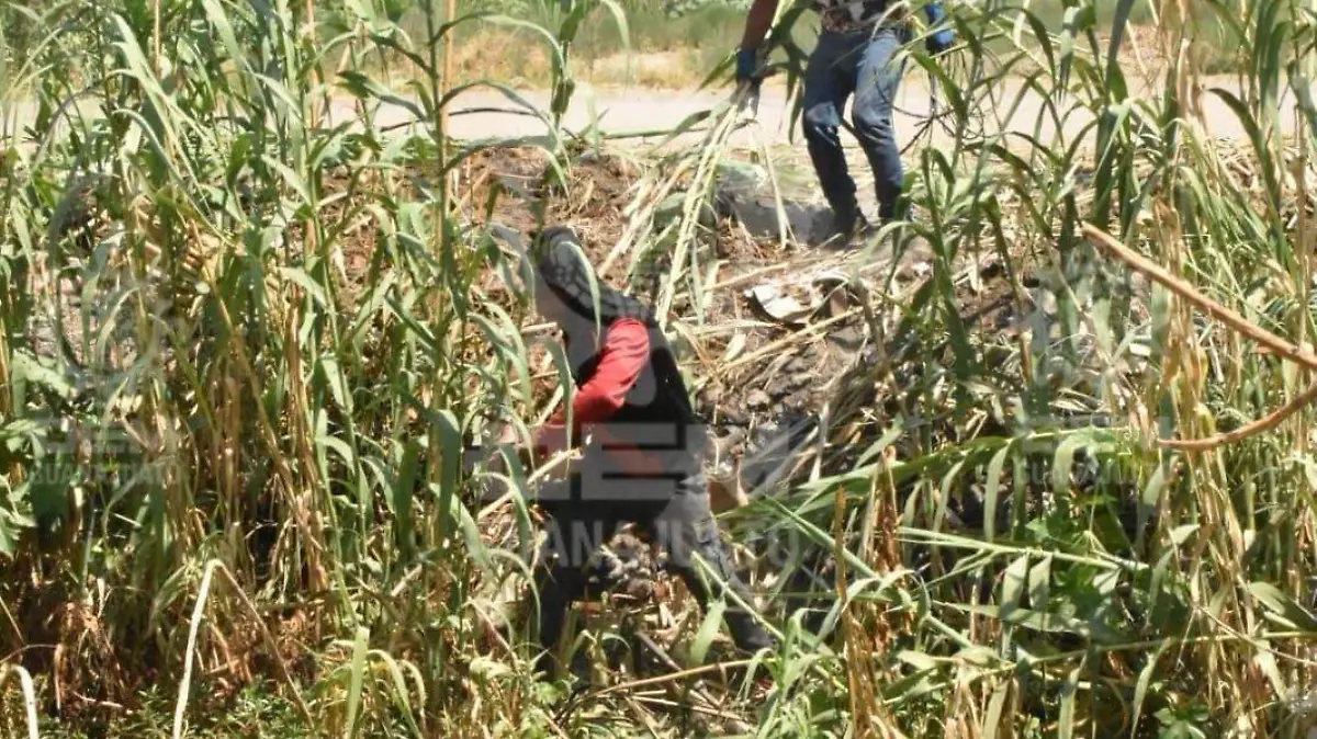 La-búsqueda-del-niño-2-okokok