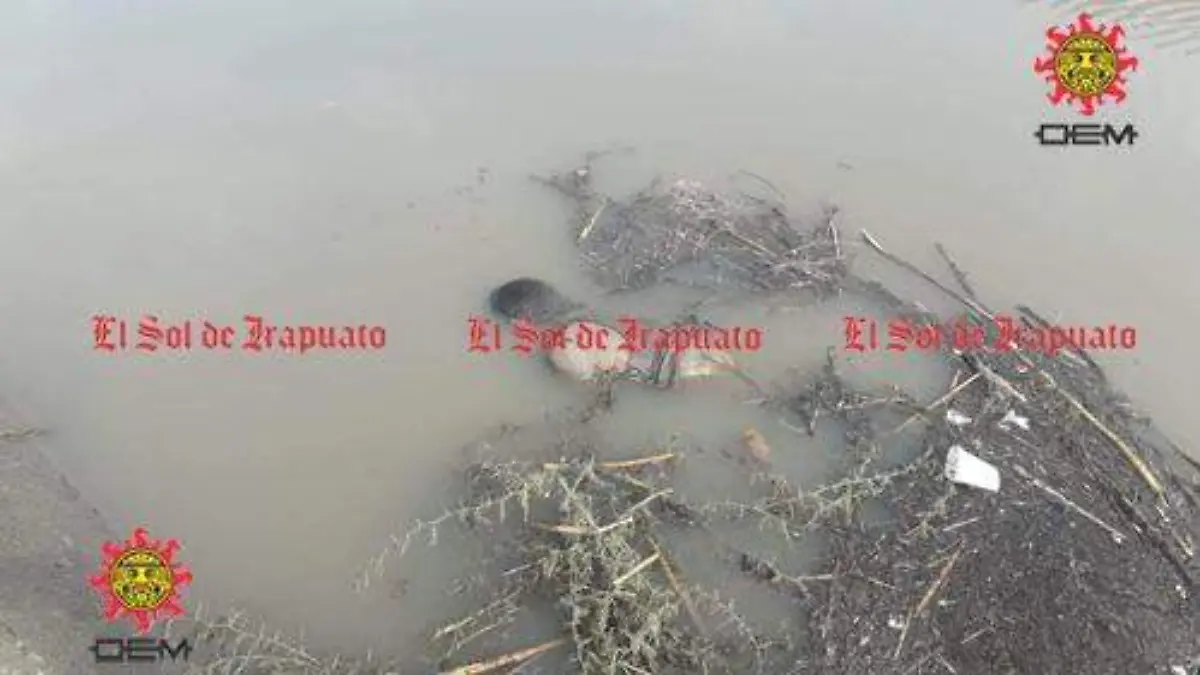 fd26a7be-cd47-445d-8816-3b0c249ed383