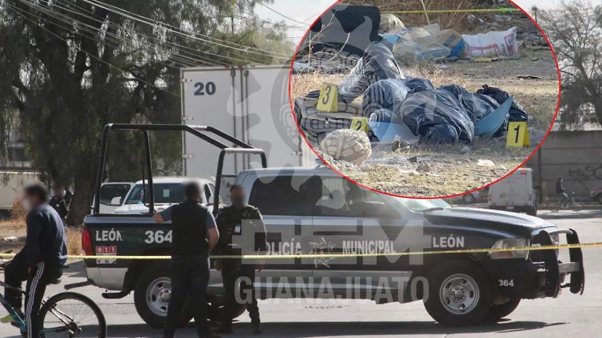 WhatsApp Image 2021-01-16 at 10.21.04 AM