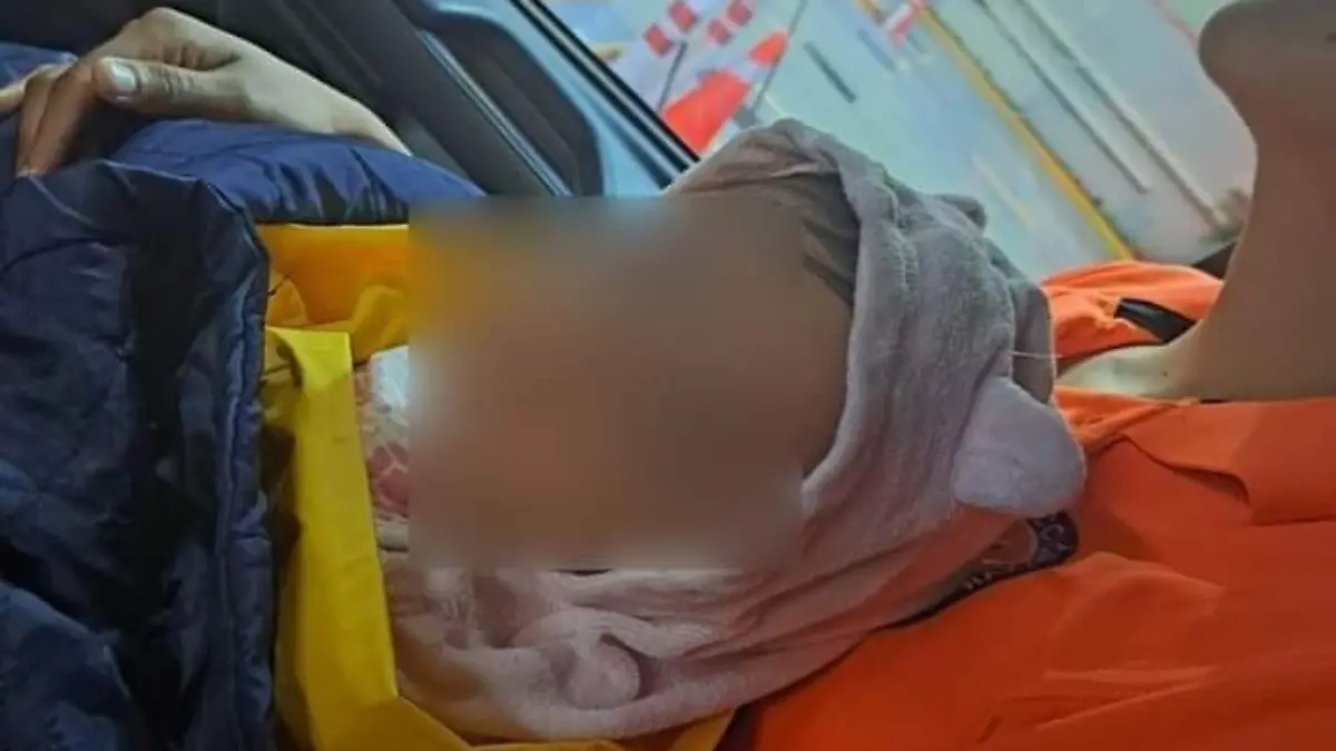 Personal-de-Protección