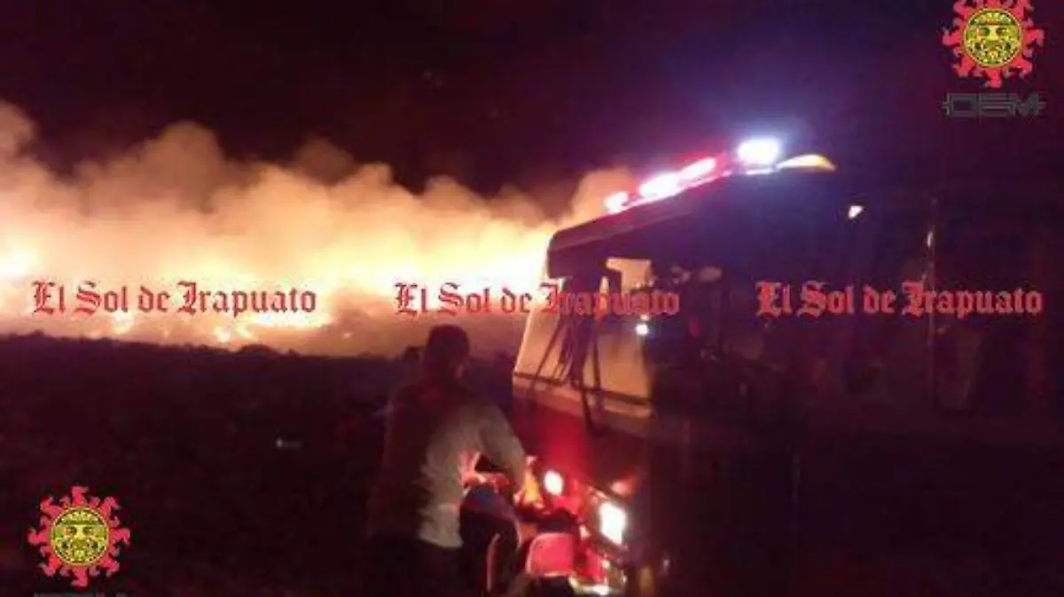 WhatsApp Image 2019-05-06 at 9.29