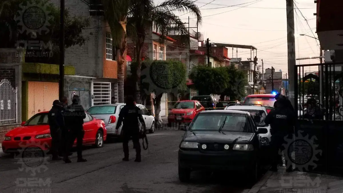 3061a11b-c2e4-4bbc-b73b-29611a781ec1