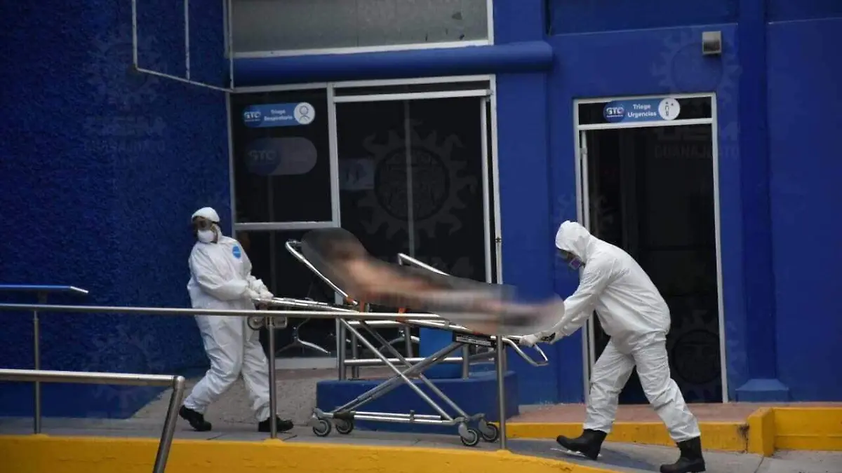 9fd6c452-4983-4f0e-8a21-a2e0c37ae0f6