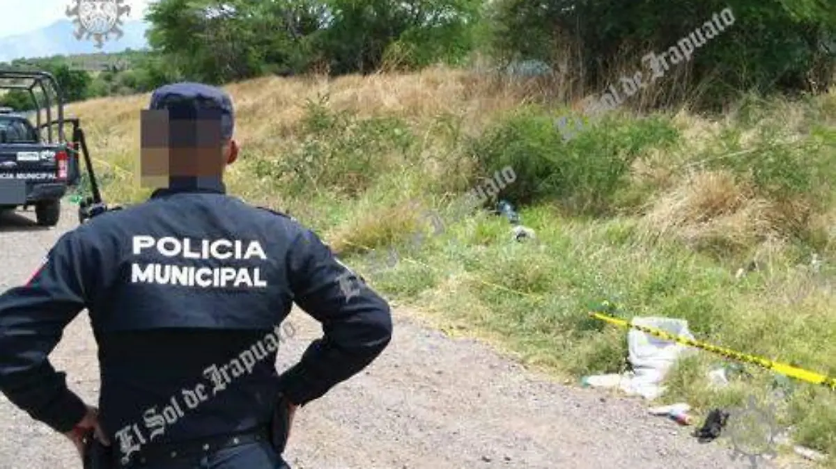 ACRIBILLADO