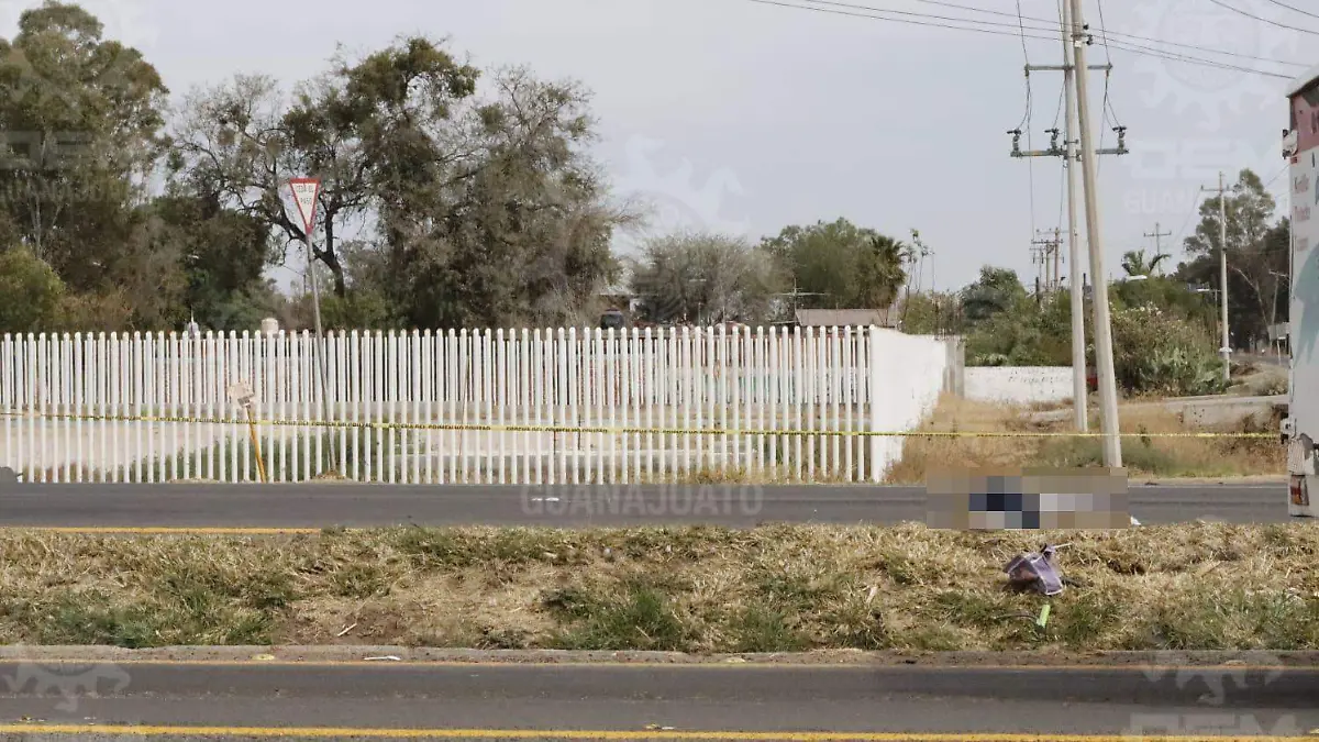 1815a121-588b-4886-a25a-4a915646d55a