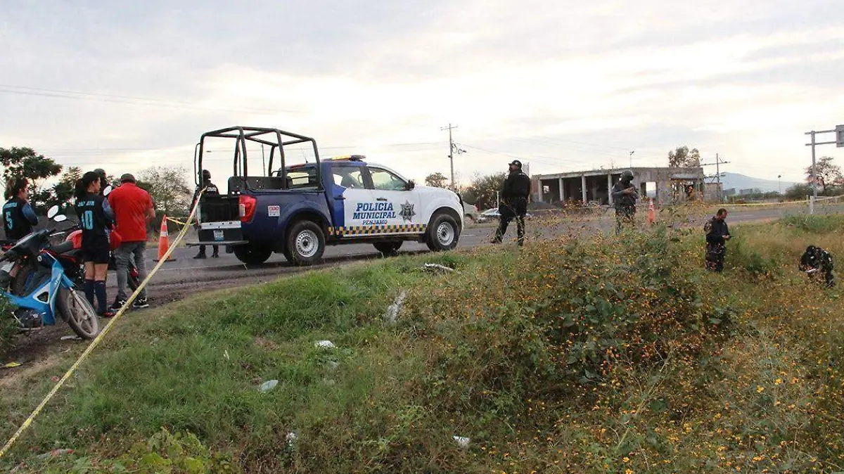 fec657e5-ff66-4700-bc2d-66a15680c6a7 (1)