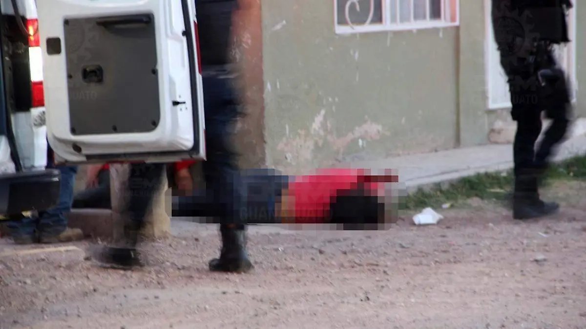 629b3c2f-0f8a-4d2a-b1b7-123e443921ab