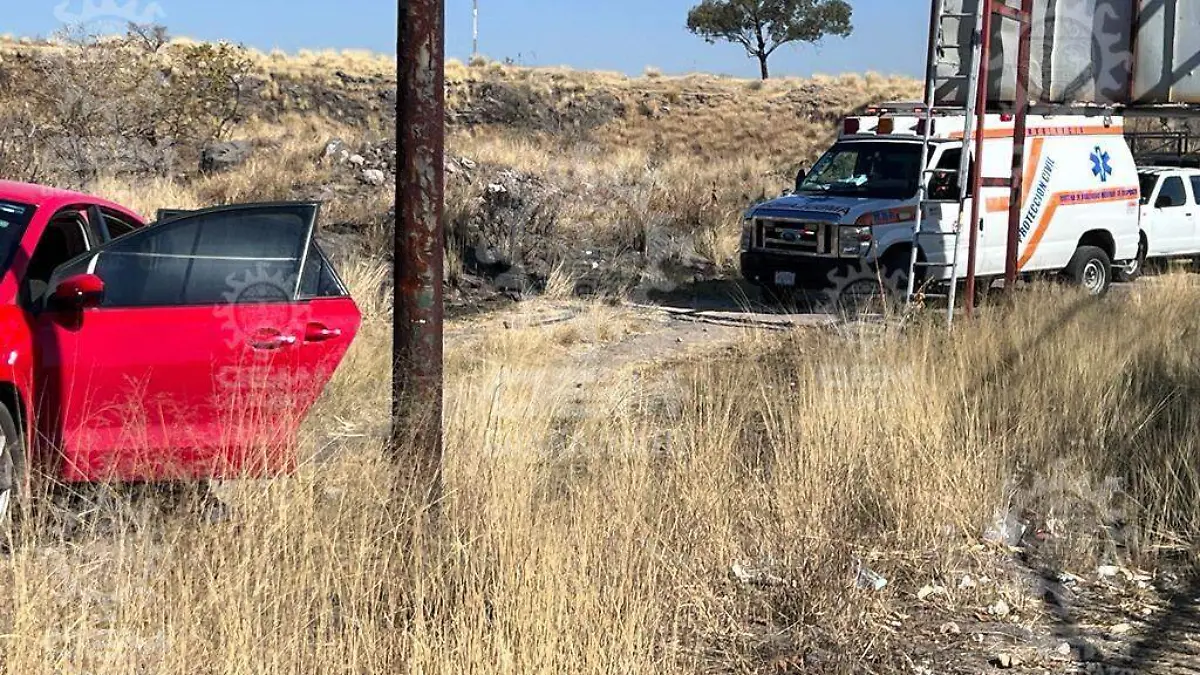 Despojan-de-automóvil (1)