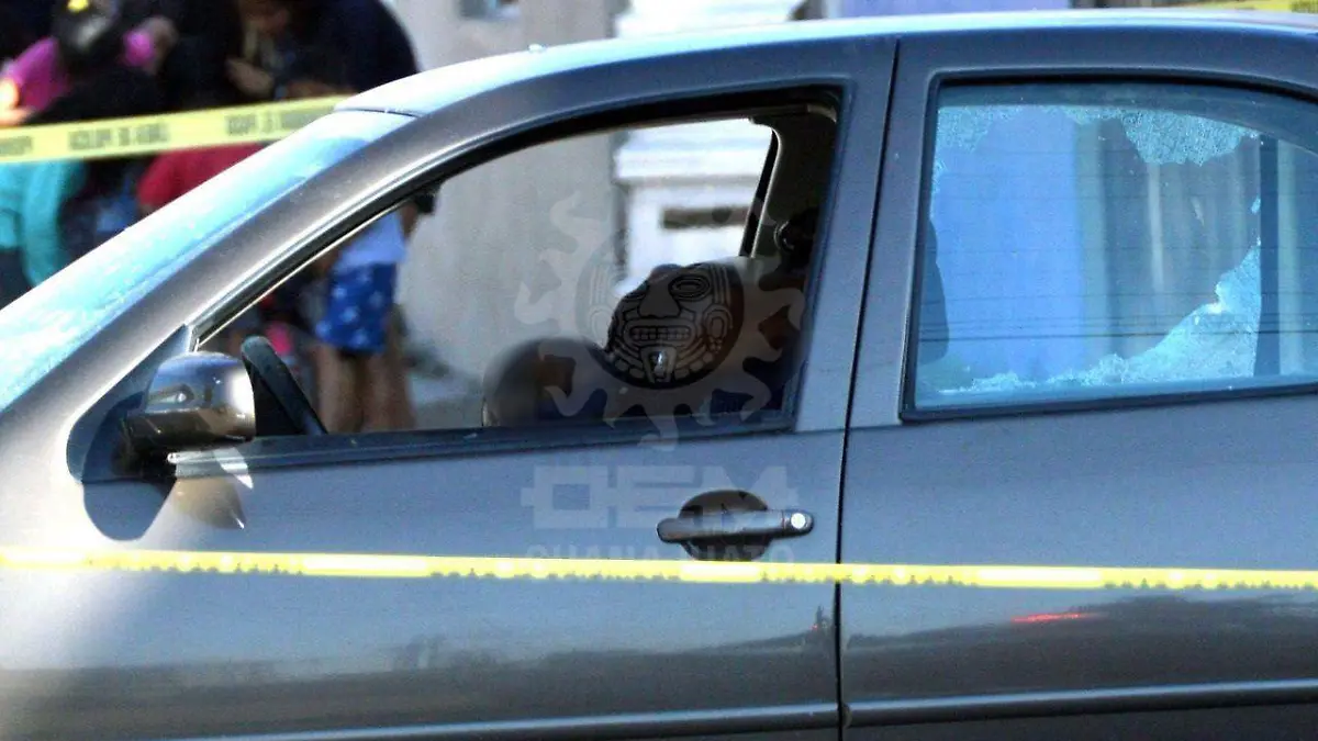 417415d8-8a80-49f7-91c1-cb8d1b4b4f3f