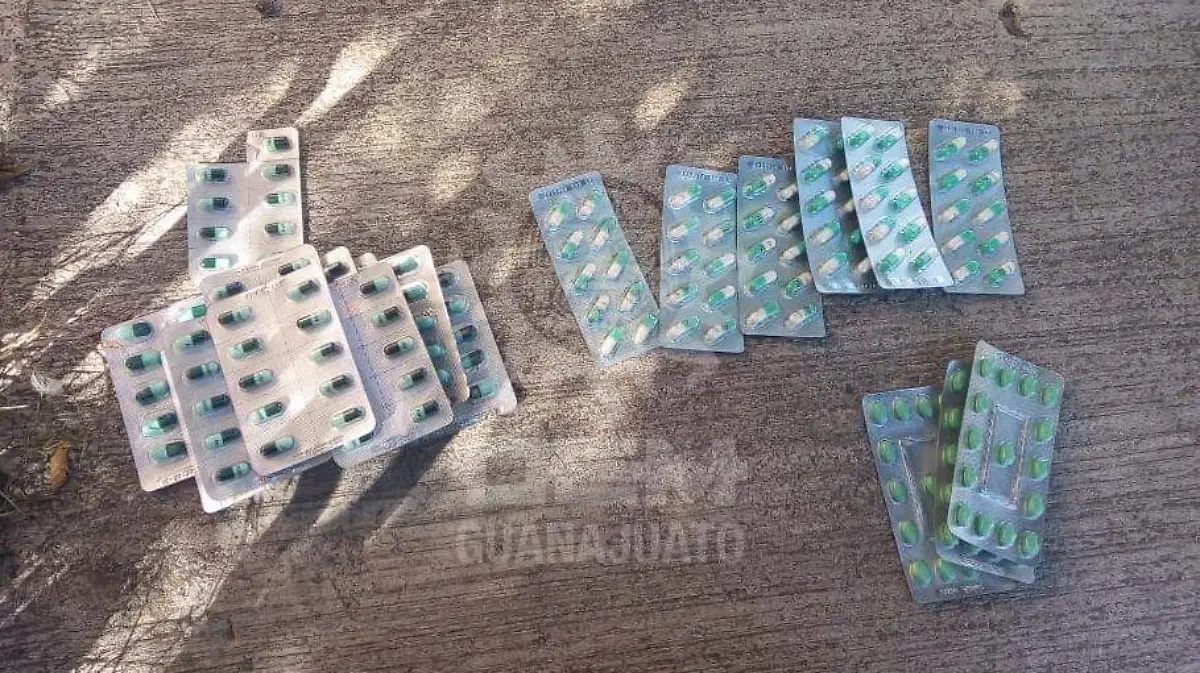 a93435c6-08e7-4170-affa-94f7a9ffea45