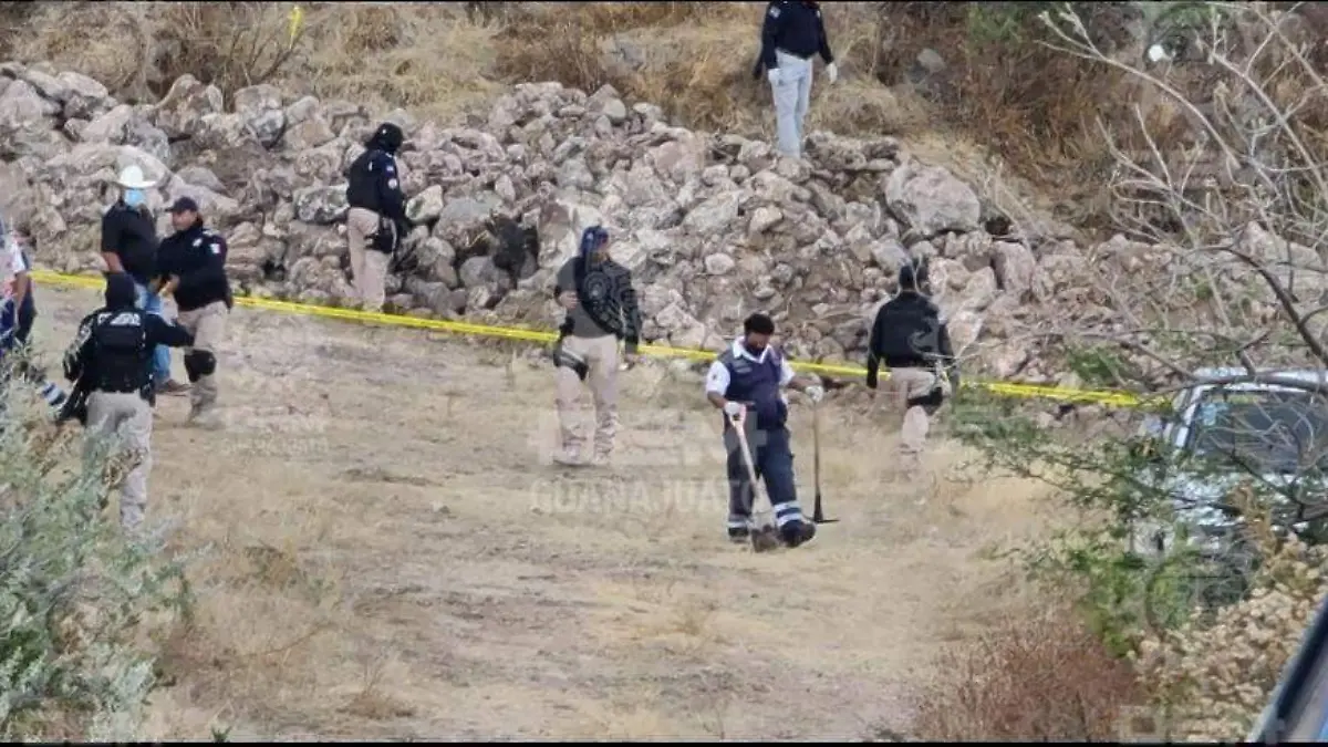 017cb113-aaad-4c54-9bd9-66c2006c3c4c