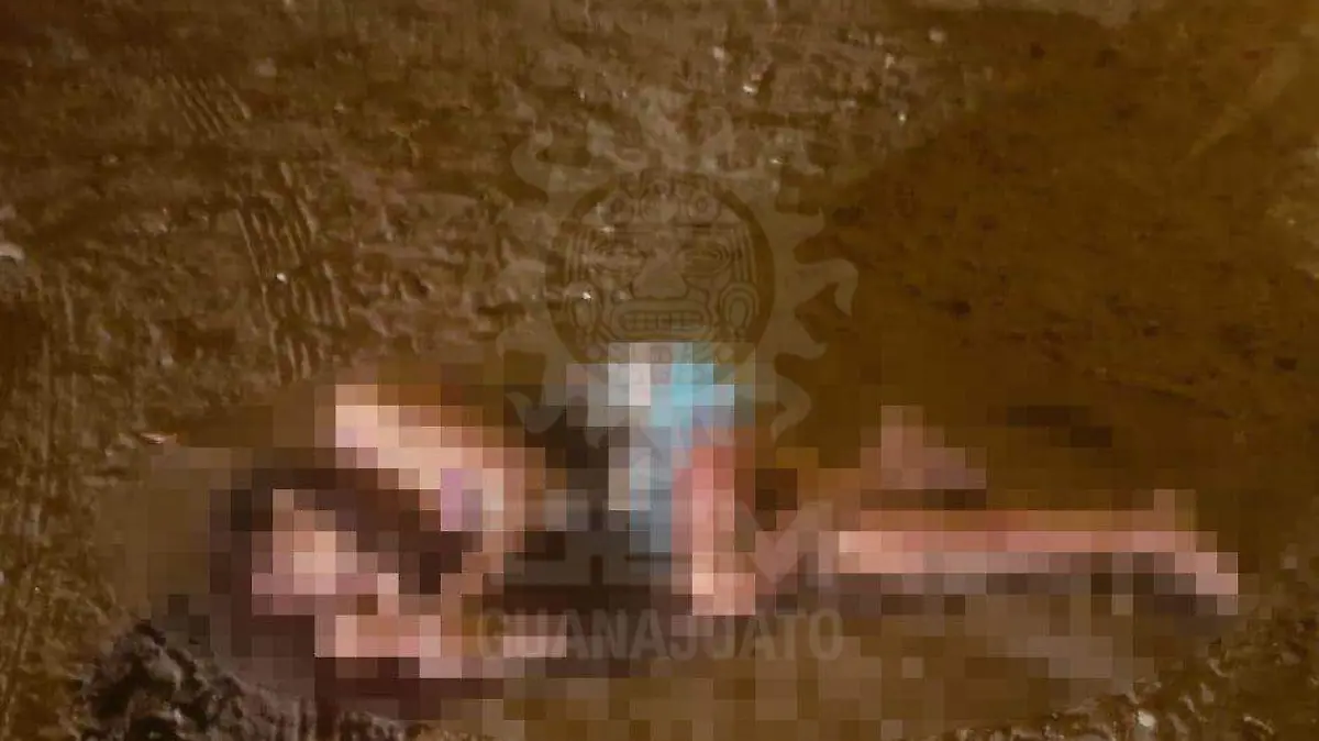 WhatsApp Image 2021-01-22 at 10.57.18 AM (2)