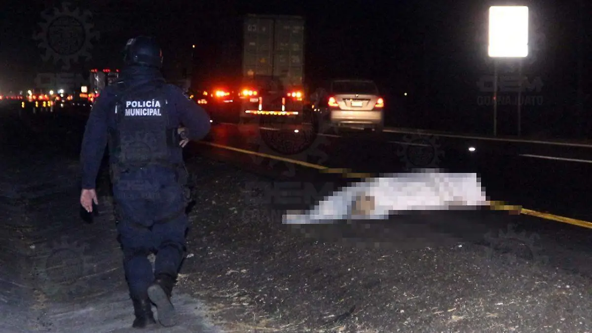 1e687cb4-7e4a-4eed-bd0e-4d66f08a993c