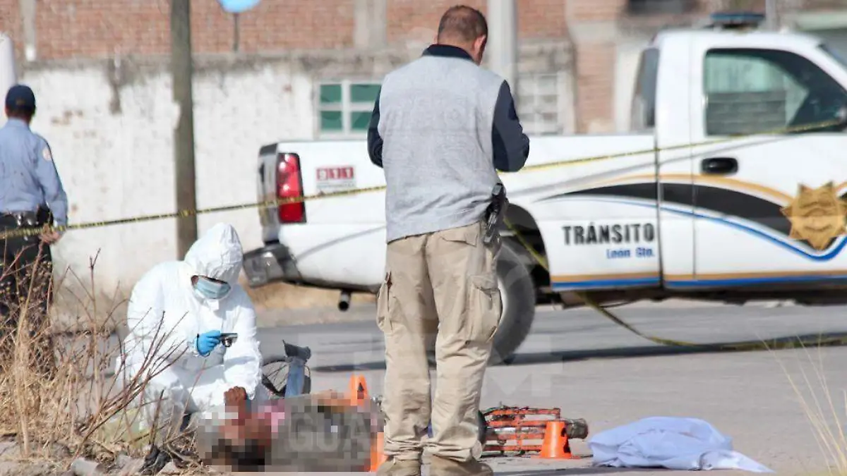 WhatsApp Image 2021-01-23 at 10.35.15 AM