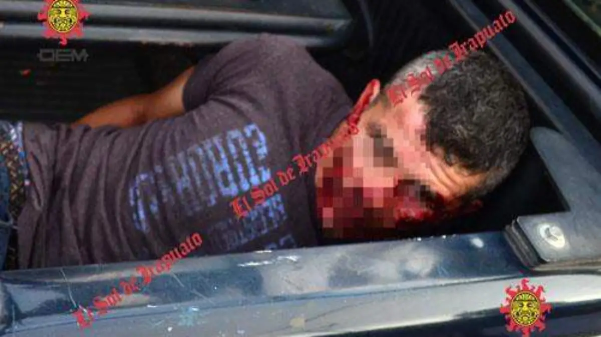 GOLPEAN RATONES (3) okokok