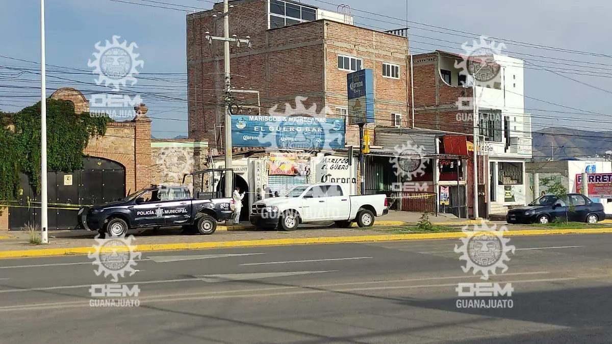 f9ac0951-2851-4bb7-9570-d6edcad45544