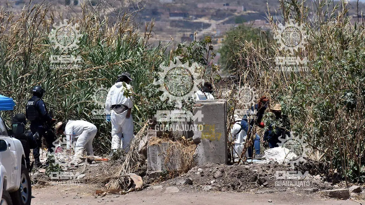 aad8b8ab-feab-47df-ba21-b6d35fdb3b5b