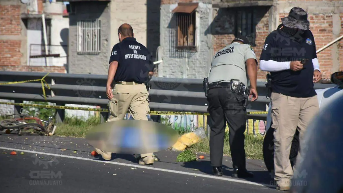 36d66bab-9aae-4ec0-8e63-ee333af2fb9b