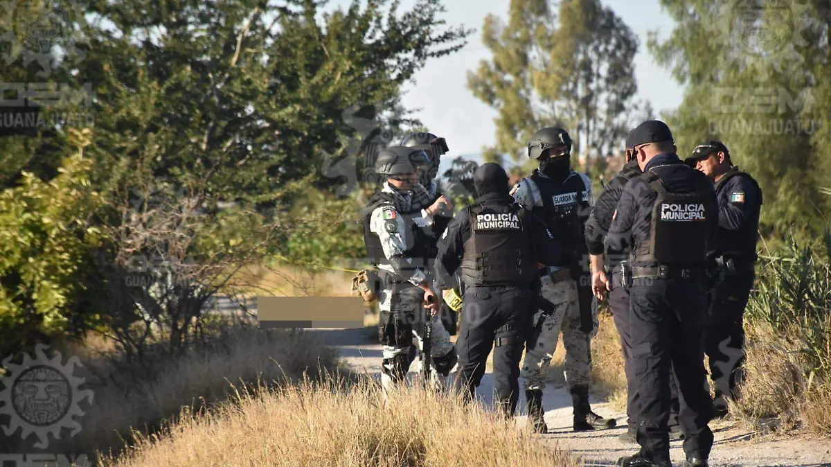 b40bbb28-070a-4c35-bd2d-6be40a64bb40