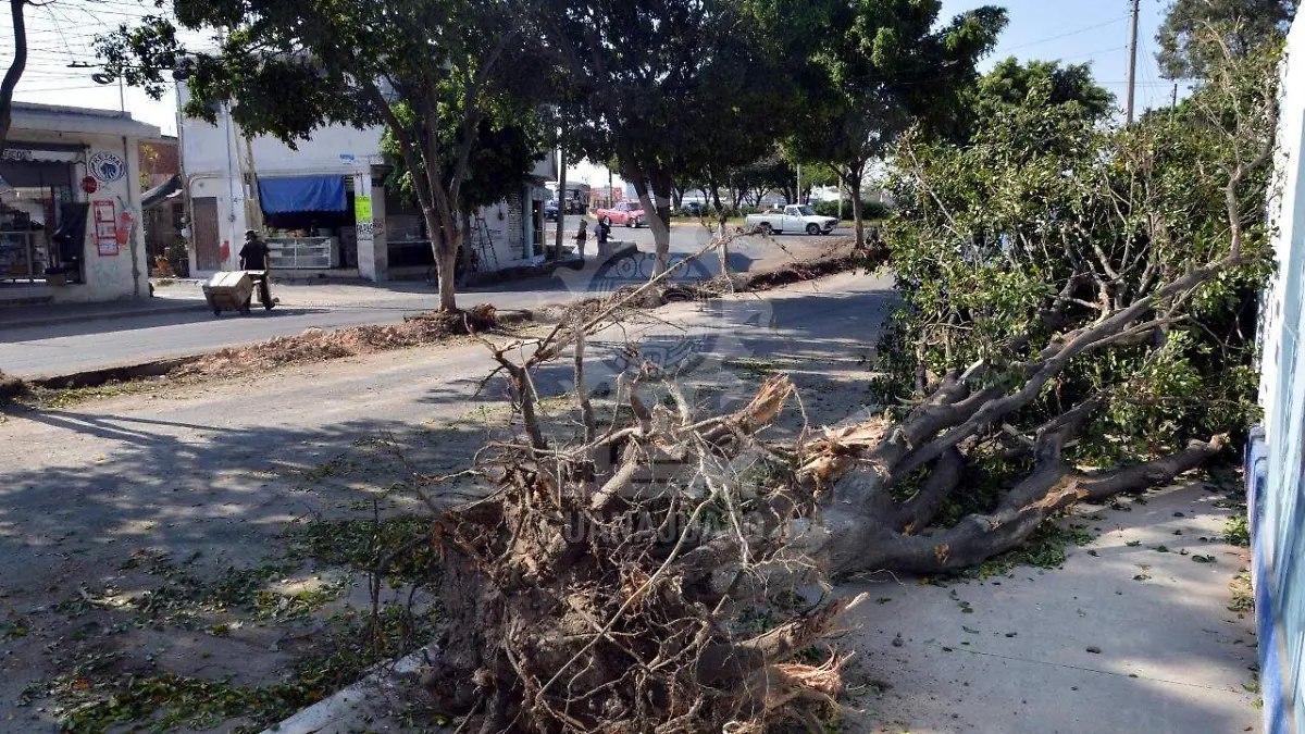 782f7330-99a8-42ea-b633-c59774ed73c5