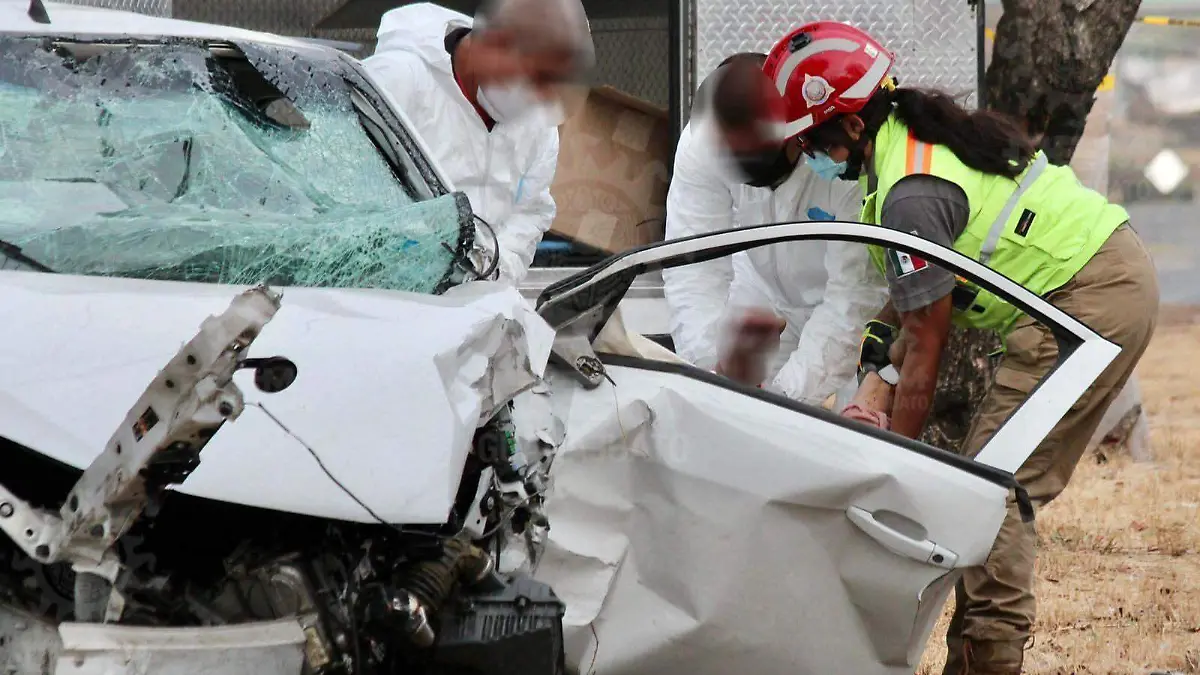 c1237946-69ef-46a3-aad7-dcd13275d956