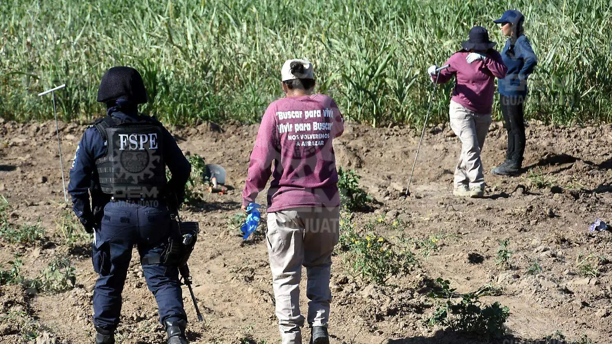 a1e93dbc-9140-47ea-8528-db3edc2ceb39