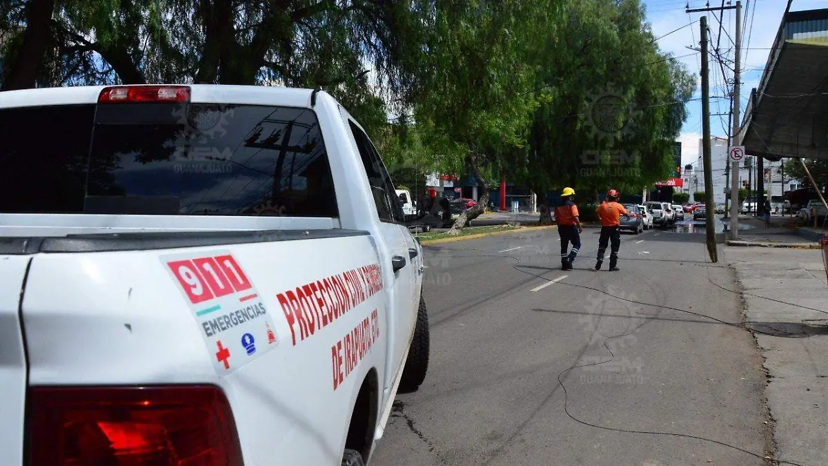 e9fdcbf1-aed0-4773-819b-cd297eac8bbf