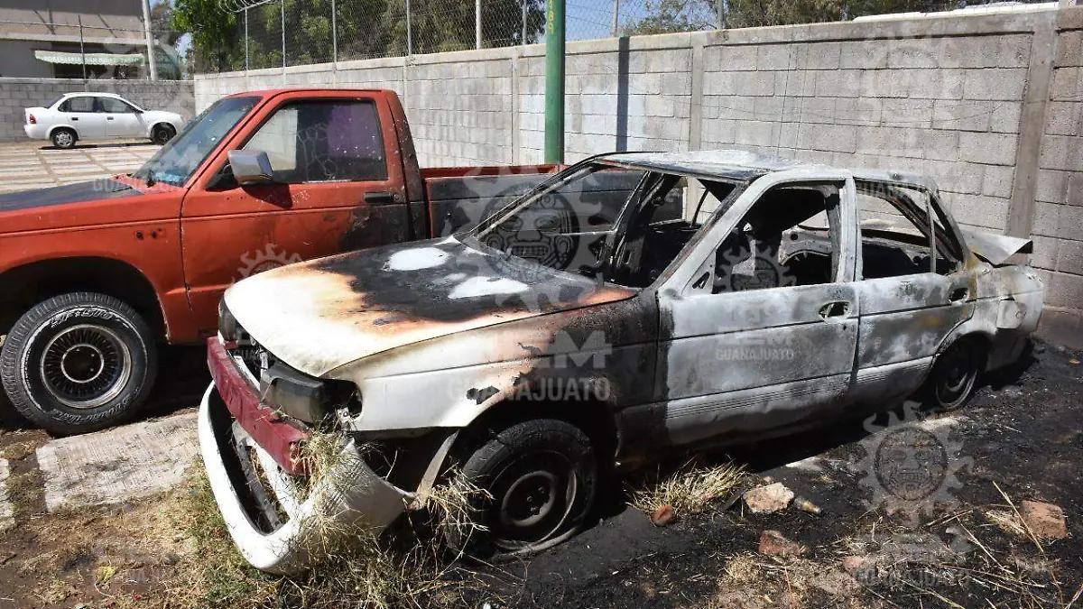 59c3a42c-f60e-4a3b-b7d4-b3be19747493 (1)